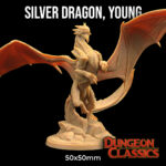 Young Silver Dragon