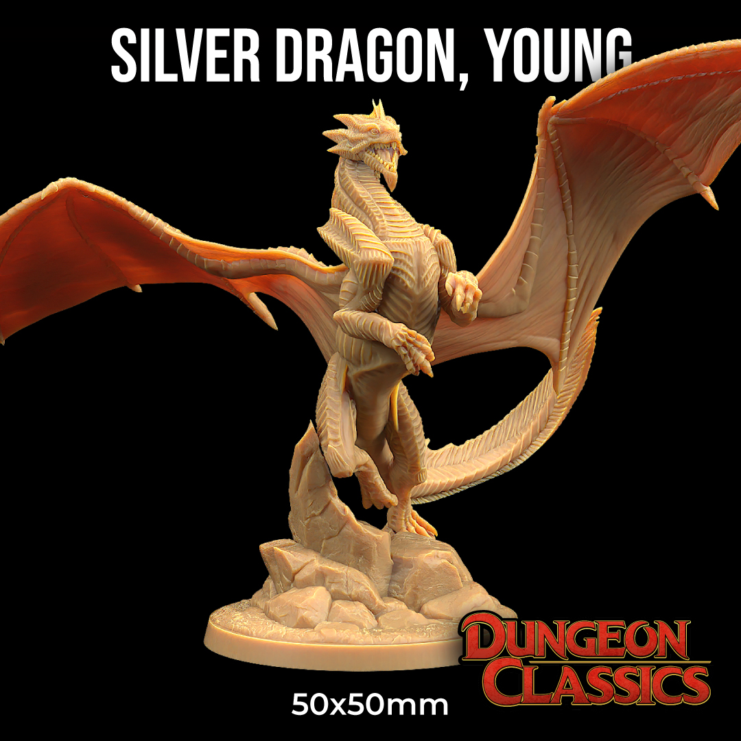 April_2026_Silver Dragon_Young Young Silver Dragon - Image 1