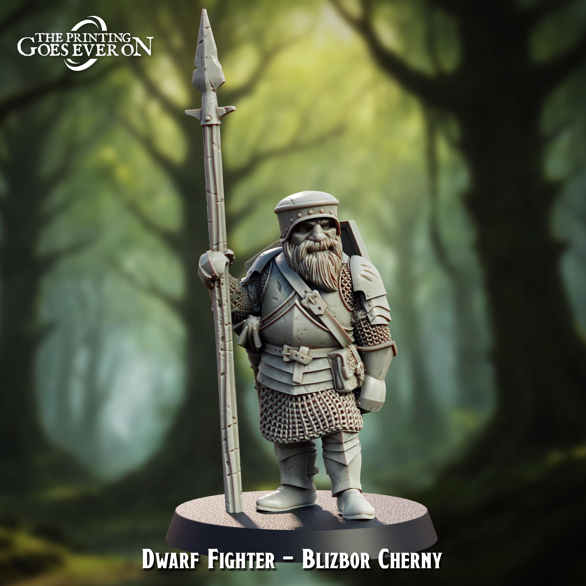 Dwarf Fighter - Blizbor Cherny Dwarf Fighter - Blizbor Cherny - Image 1