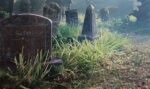 Static Grass - 7 mm Light Green - Image 3
