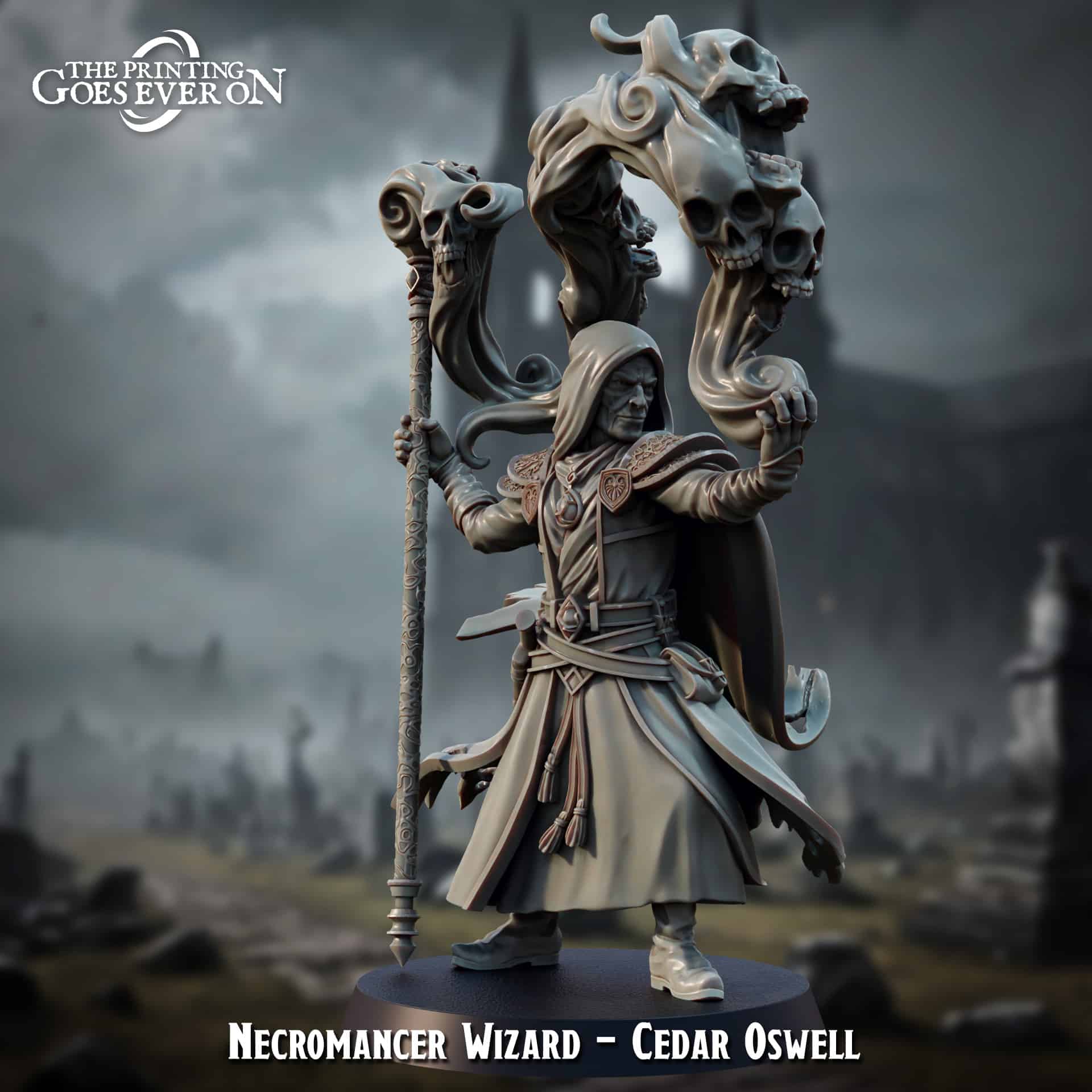 Necromancer Wizard - Cedar Oswell Necromancer Wizard - Cedar Oswell - Image 1