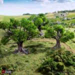 Oak Trees - Image 3