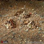 Rubble Piles and Scatter - Image 3