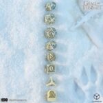 Q Workshop - Game of Thrones - Stark Dice Set 8 - Image 5